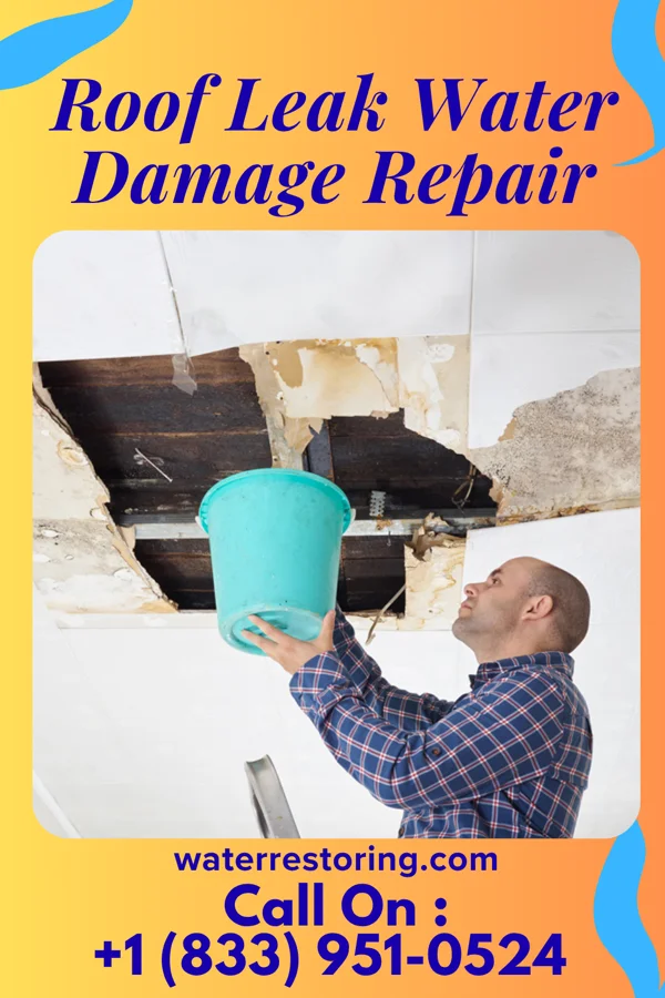 Roof Leak Water Damage Repair in Enigma, GA